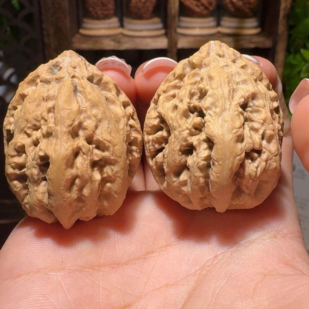 文玩核桃把件大粗筋