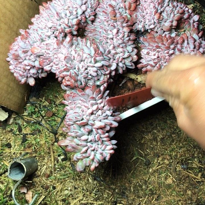 N****d110///////////////