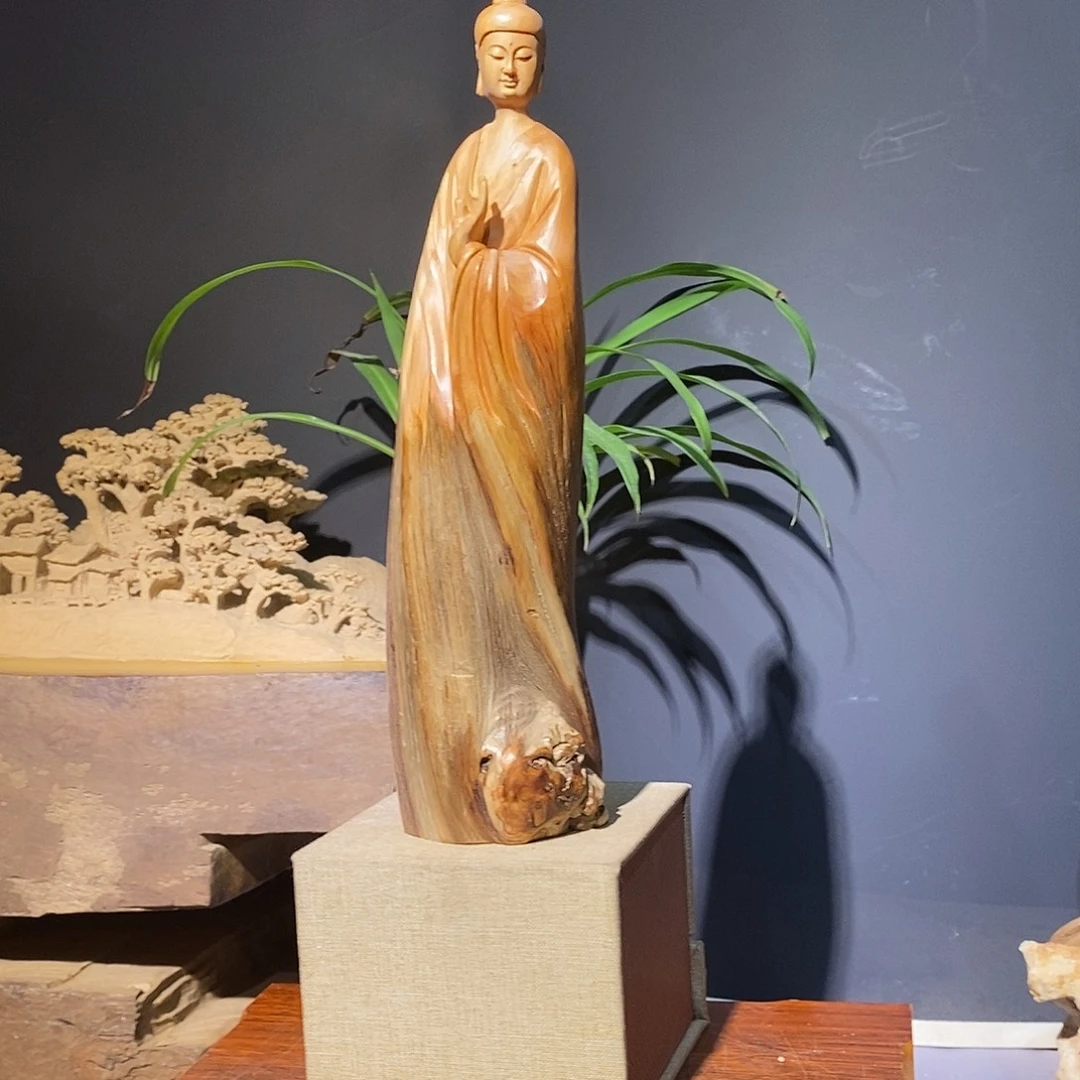 柏木太行崖柏188568