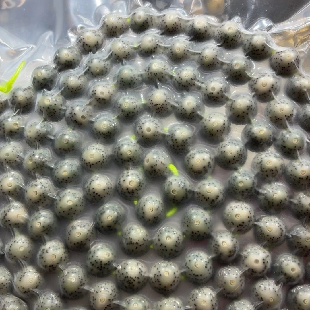 星月菩提手串石玉10圆