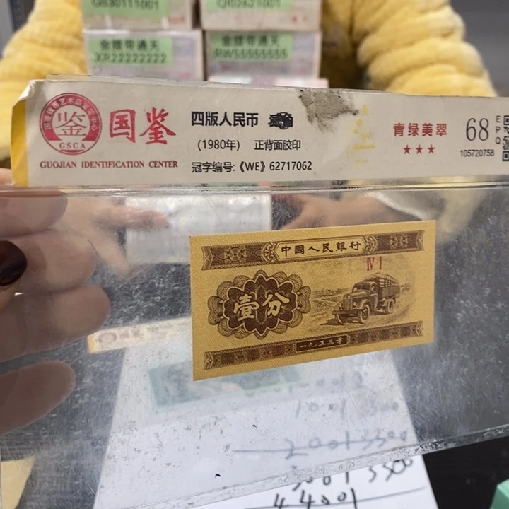 S4L9555001大象一捆福利