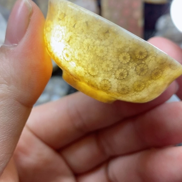 硅化珊瑚（珊瑚玉）颈饰未镶嵌