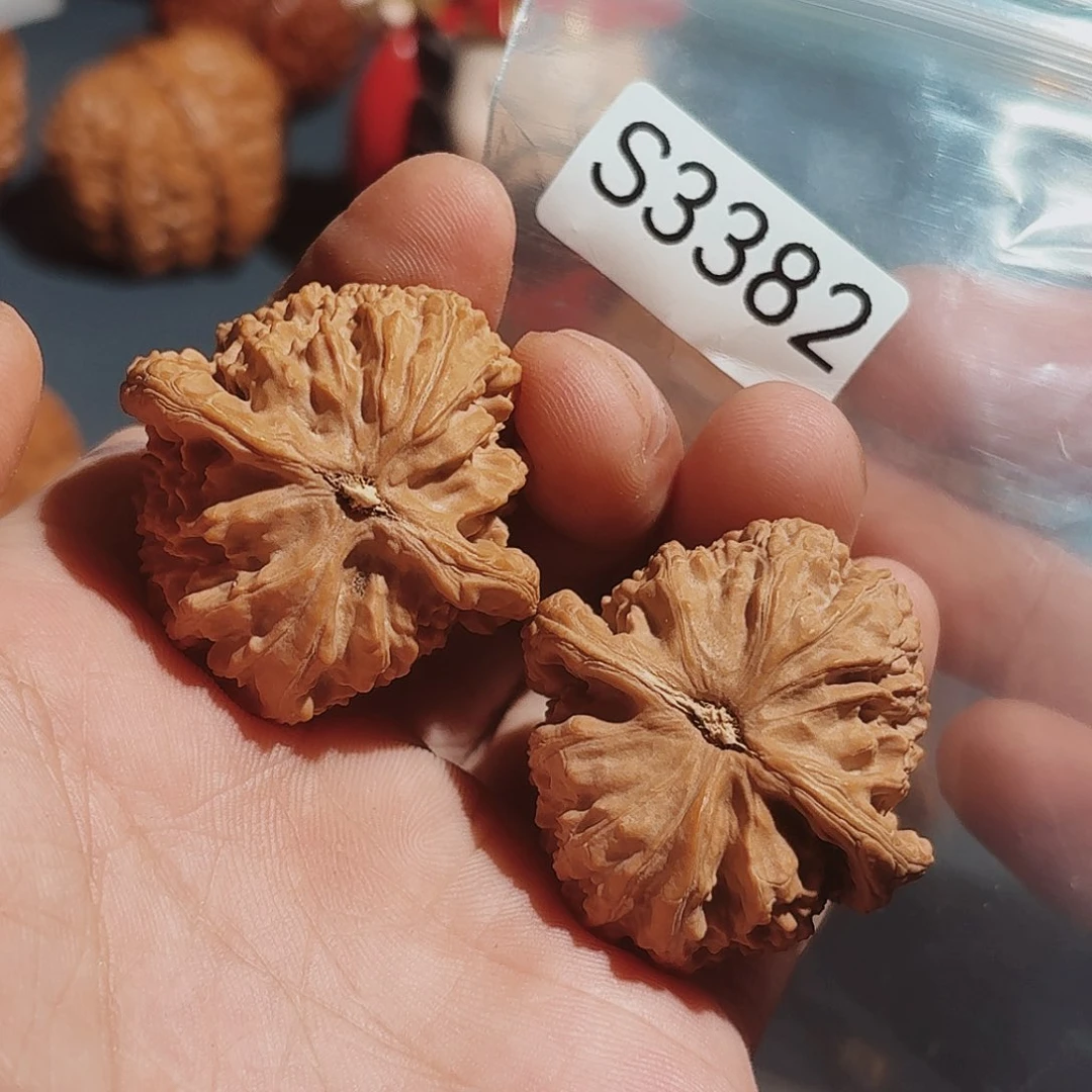 文玩核桃把件白狮子