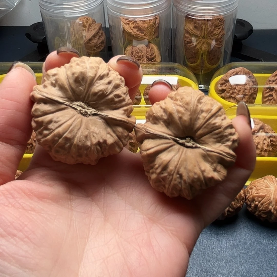 核桃41尺寸南瓜墩