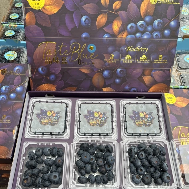 【22mm+】品味燕云南蓝莓当季新鲜(单盒125g)(高端礼盒)