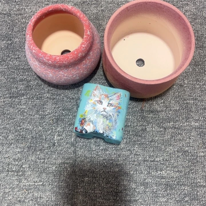 陶不同器形手绘盆