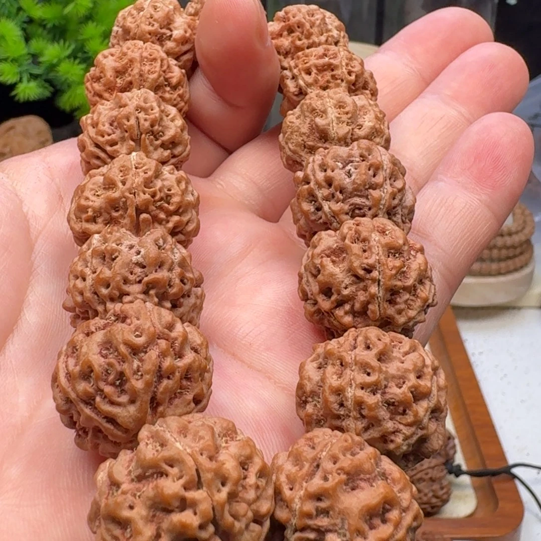 金刚菩提手串五星蜂王