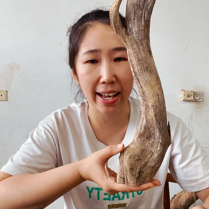 原***我香榧木太行太行山区之
