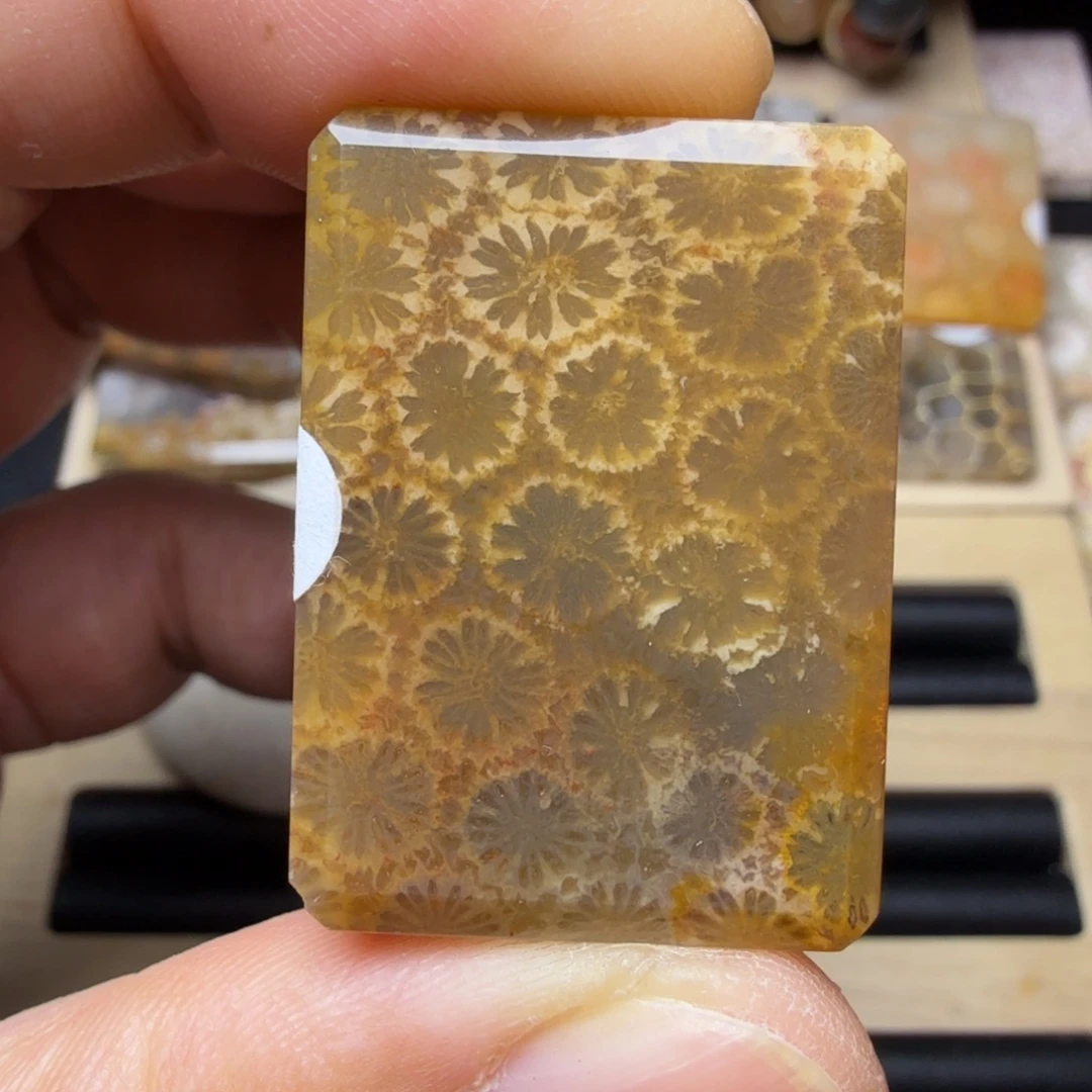 硅化玉未镶嵌纯天然色有机玉石保真色