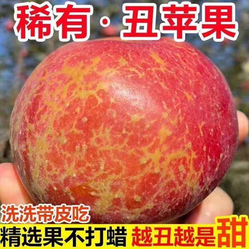 四川大凉山丑苹果好吃多汁脆甜w1四川省
