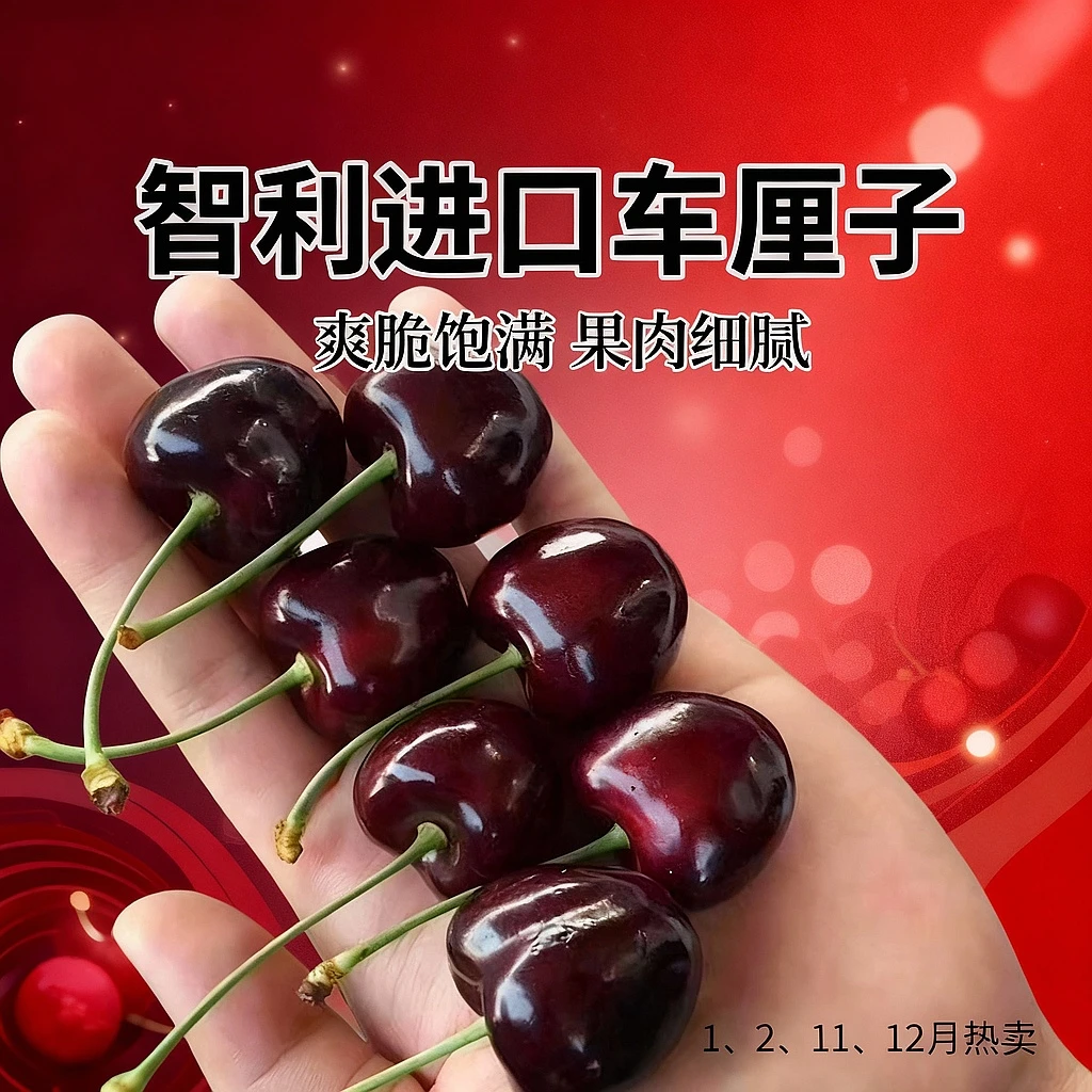 顺丰海运智利车厘子桑提娜进口大樱桃J-5J礼盒新鲜水果内附果径卡