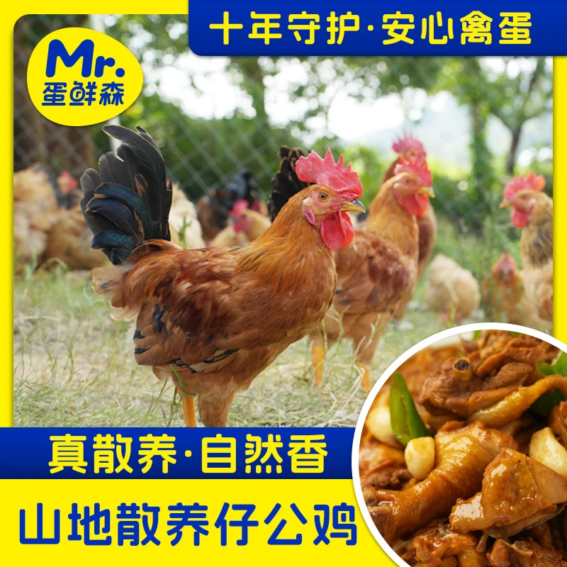 蛋鲜森散养公鸡700克/只X3顺丰/京东土鸡肉质鲜美 包冰率不含冰