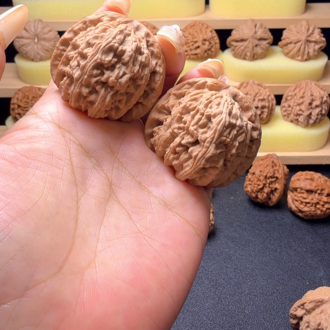 核桃白狮子41尺001