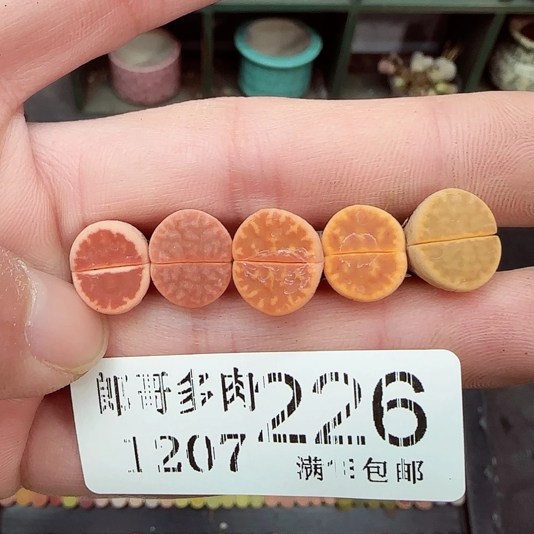 满满18包邮1206-226