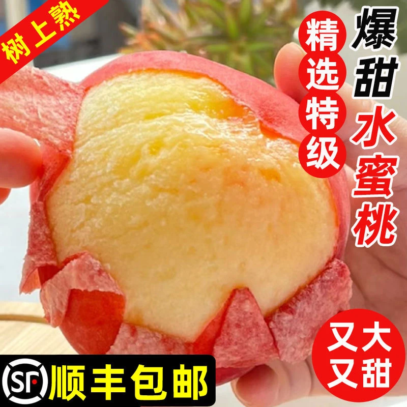 【顺丰包邮】水蜜桃口口爆甜粉嫩多汁软硬两吃批发价