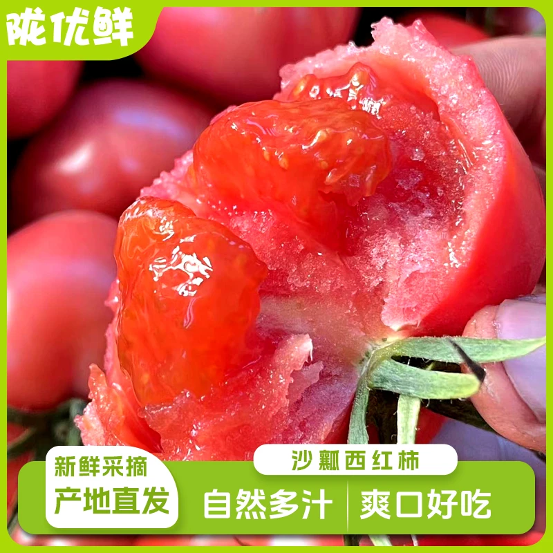 陇优鲜甘肃沙瓤西红柿4.5斤单果100-110g多汁可生吃顺丰直邮