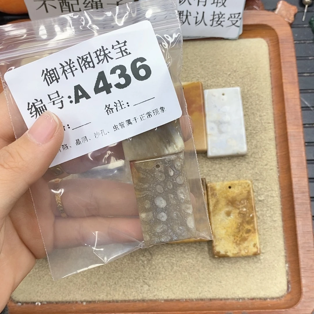 硅化珊瑚（珊瑚玉）颈饰未镶嵌冬*