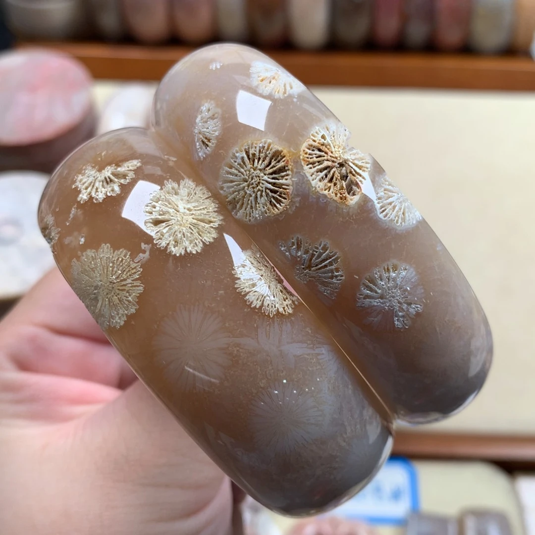 硅化珊瑚（珊瑚玉）标本大花56～57圈口1250～2k/支未