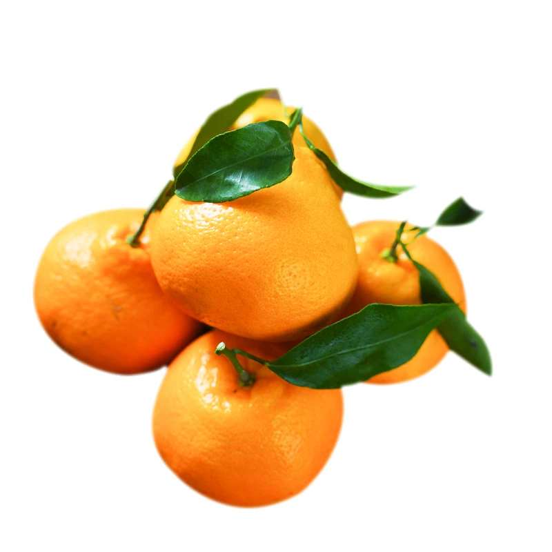 精选耙耙柑500-550g/份（线上）