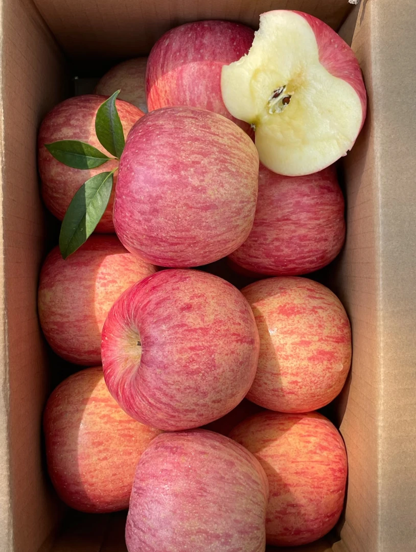 【新果上市】正宗红富士苹果脆甜多汁产地直达新鲜应季水果生鲜