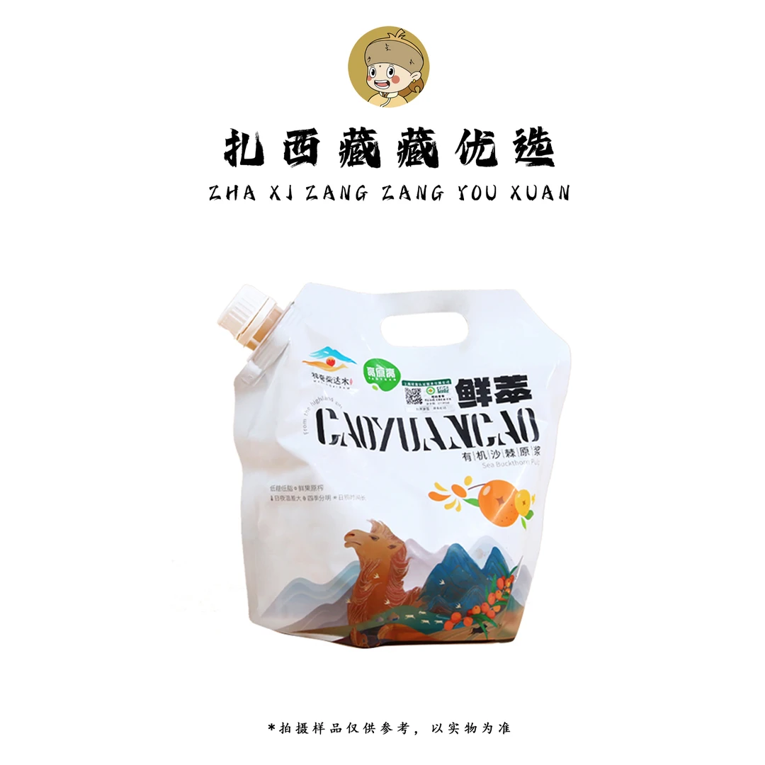 天下康普沙棘原浆