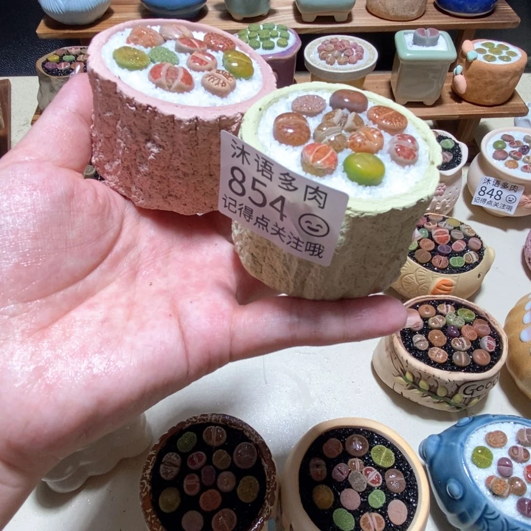 所见即所得 一物一拍854