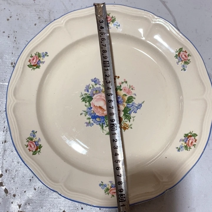 瓷片炻器瓷大盘子