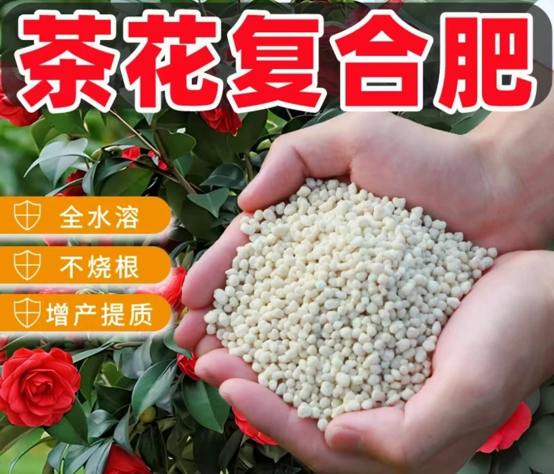 茶花可用肥适合地栽盆栽花卉绿植(盒装200g)