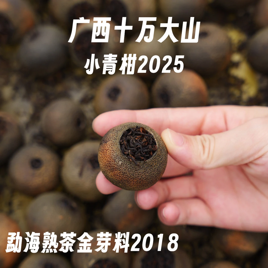 广西十万大山小青柑 茶枝柑青柑普洱组合装