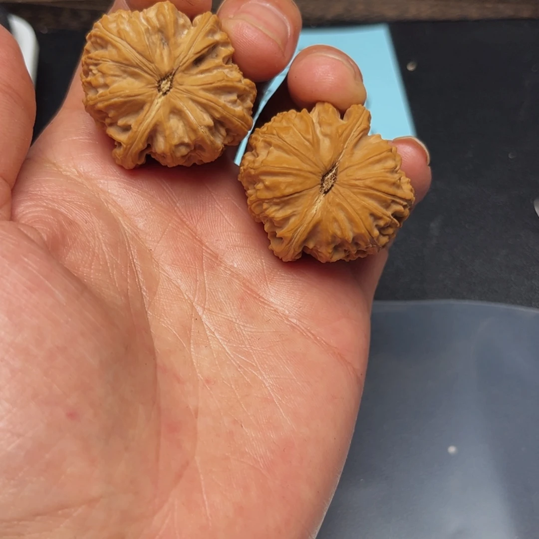 文玩核桃吊坠防**温36白狮子