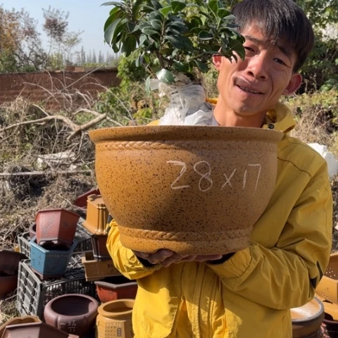 紫砂花盆特价包邮送出