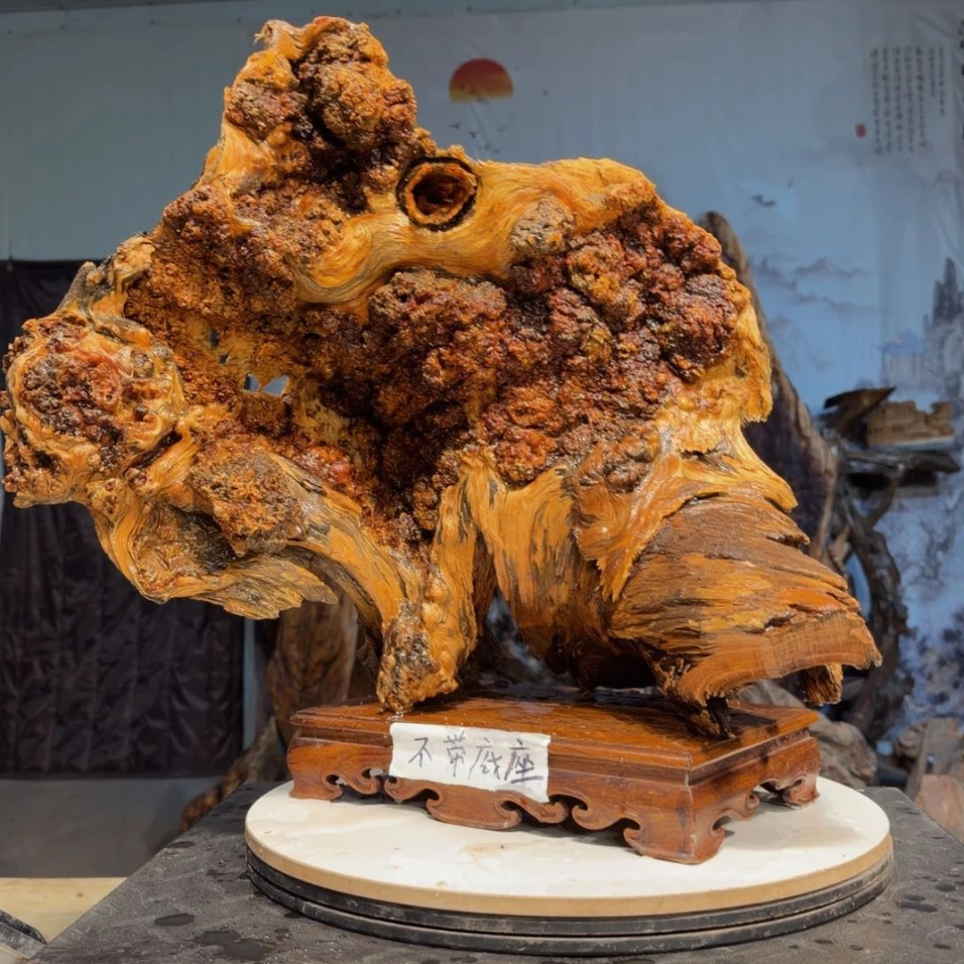 杏***堂木三丰琥珀木 天然摆件10