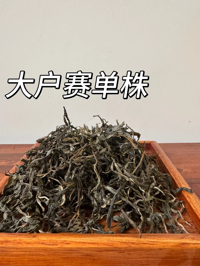 2025年-头春头采-大户赛古树单株(3棵树)-普洱茶散茶
