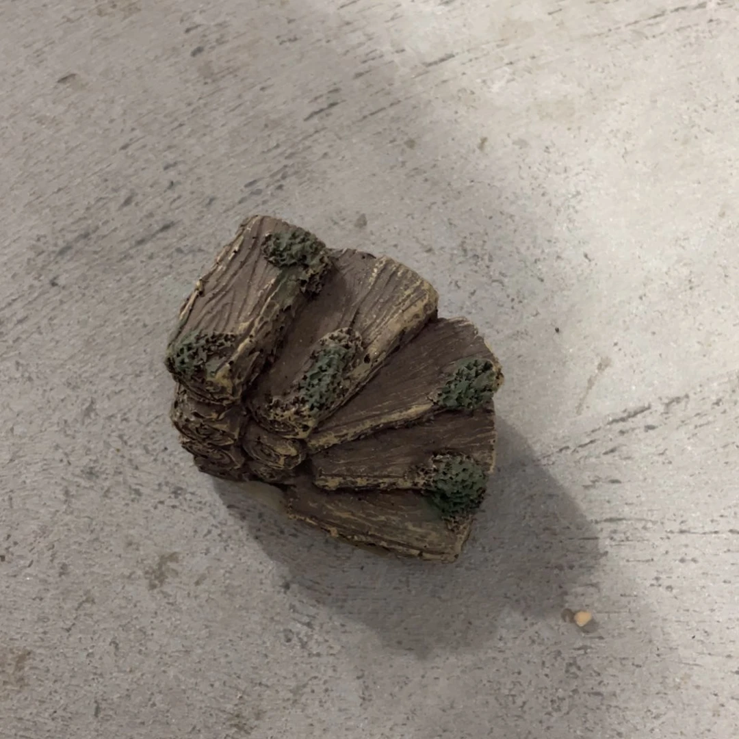 仨***猫瓷片微瑕，不退不换，看好再拍