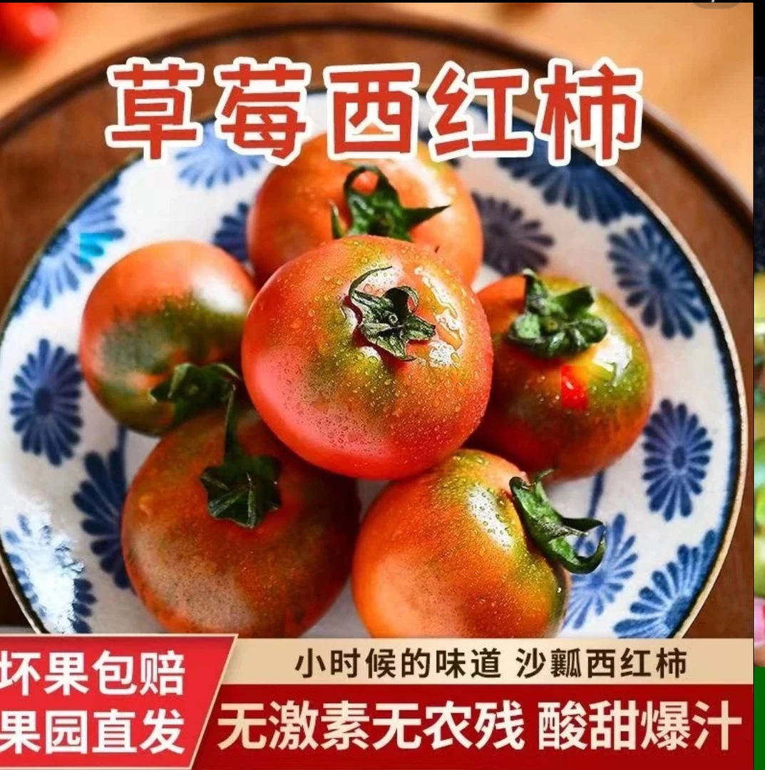 露天草莓番茄水果西红柿树上熟应季蔬菜水果坏果包赔