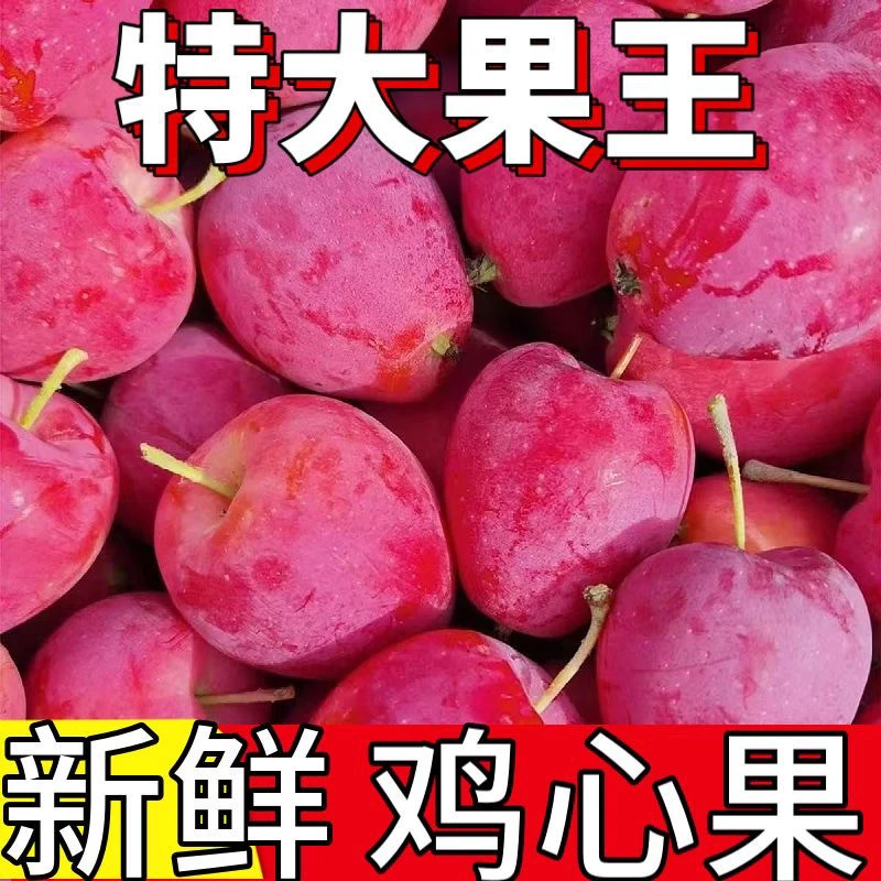 【现摘现发】东北鸡心果锦绣海棠酸甜可口脆甜多汁应季新鲜水果