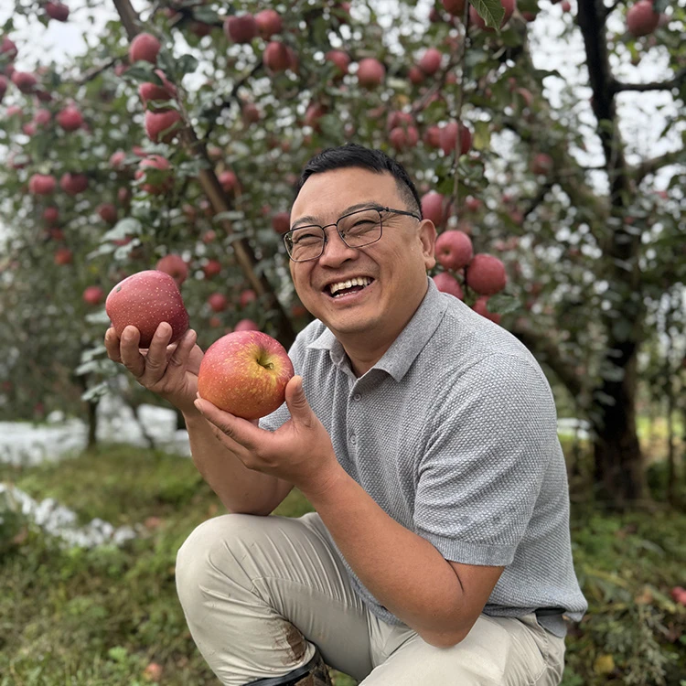 云南昭通冰糖心丑苹果新鲜现摘当季水果