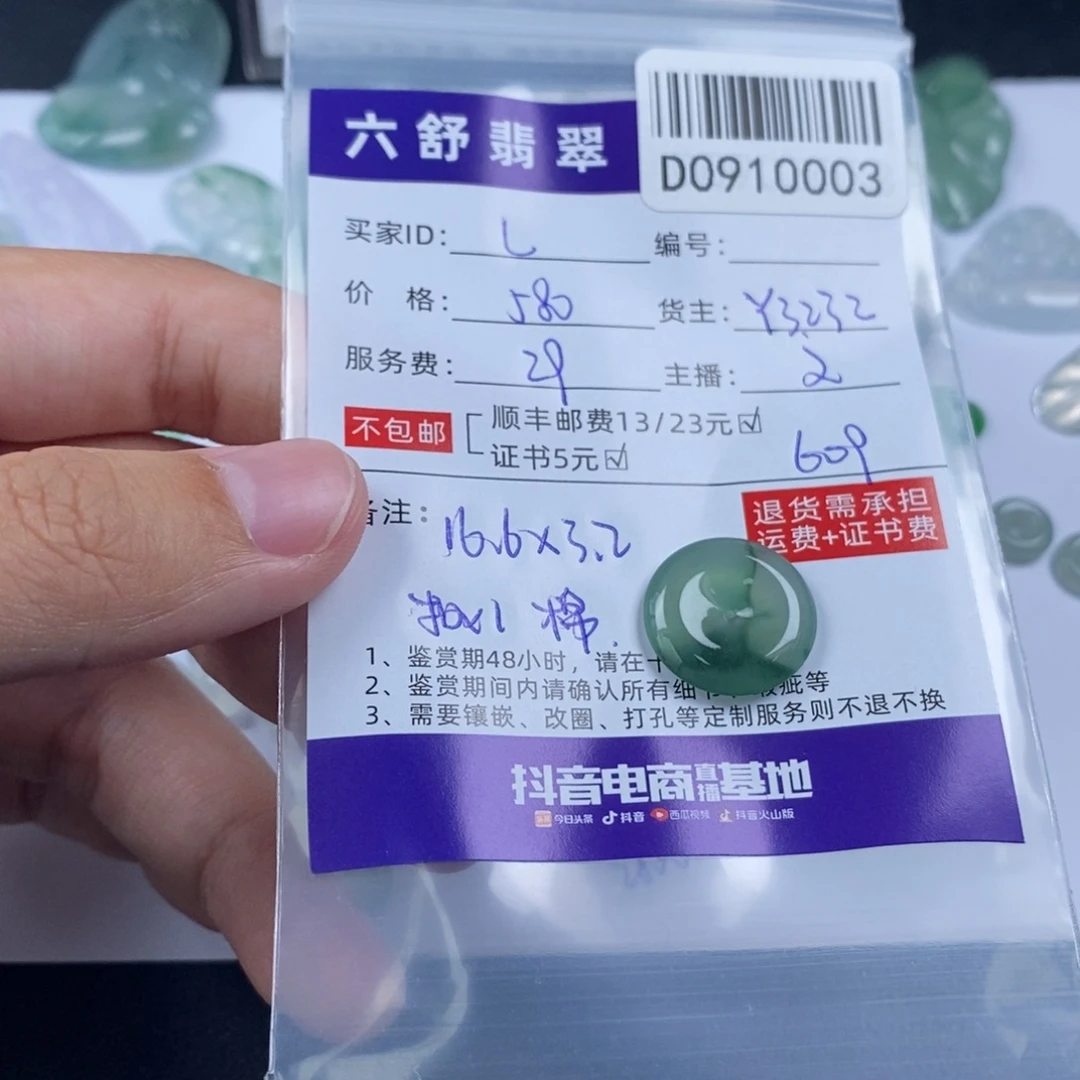 L***。未镶嵌挂件翡翠D0910003
