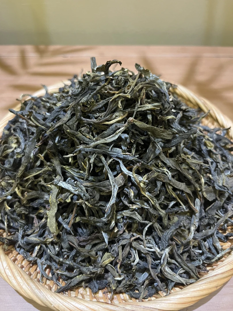 小户赛红土地古树（2023年、春）