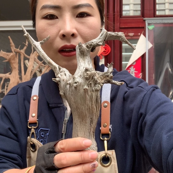 辛***文木太行崖柏毛料板根