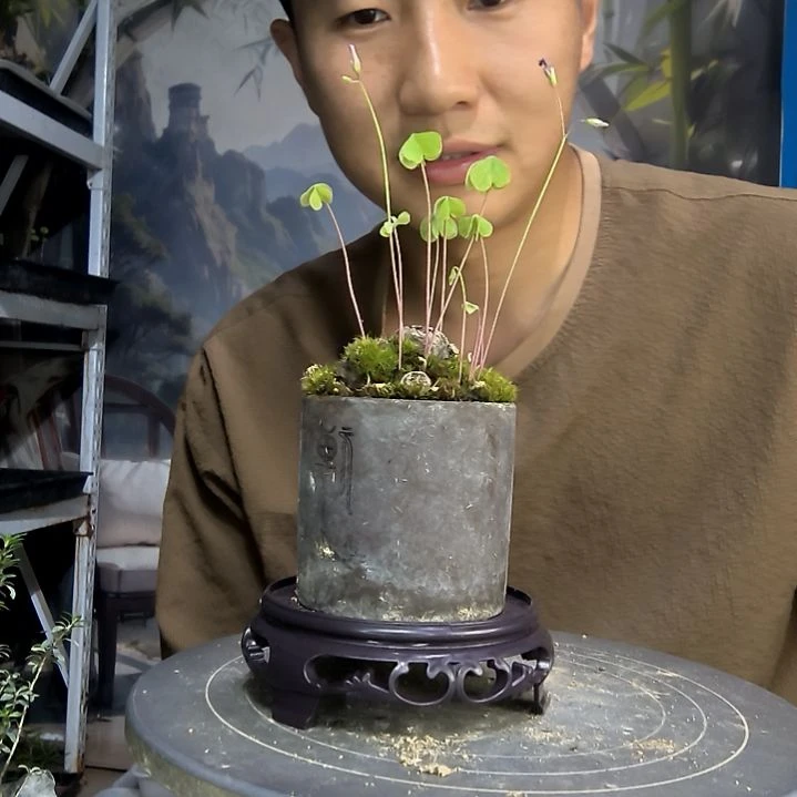 天*冬中青园艺一物一拍163