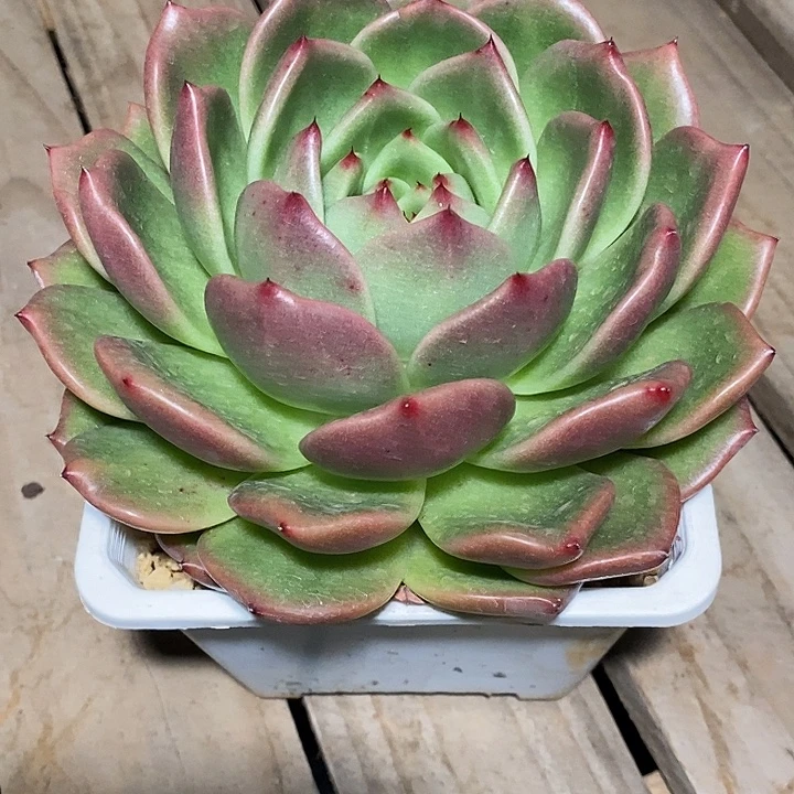 用***3福利大漏12