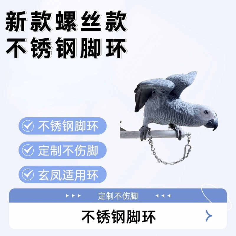 鹦鹉不锈钢脚环脚链304站架玄凤和尚小太灰机脚环链子刻字款定制