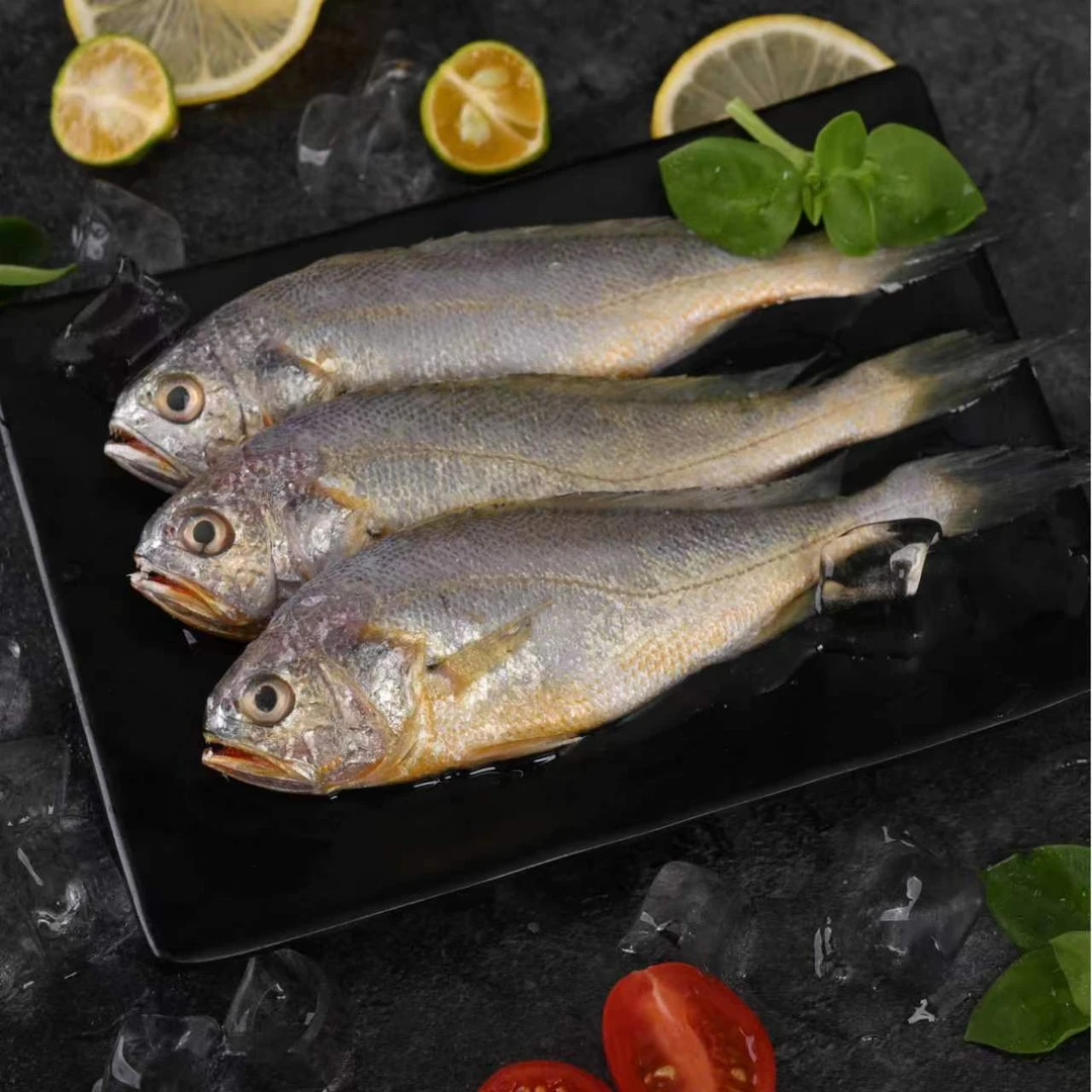 新鲜野生海捕小黄花鱼到手5斤顺丰冷链冰鲜保护