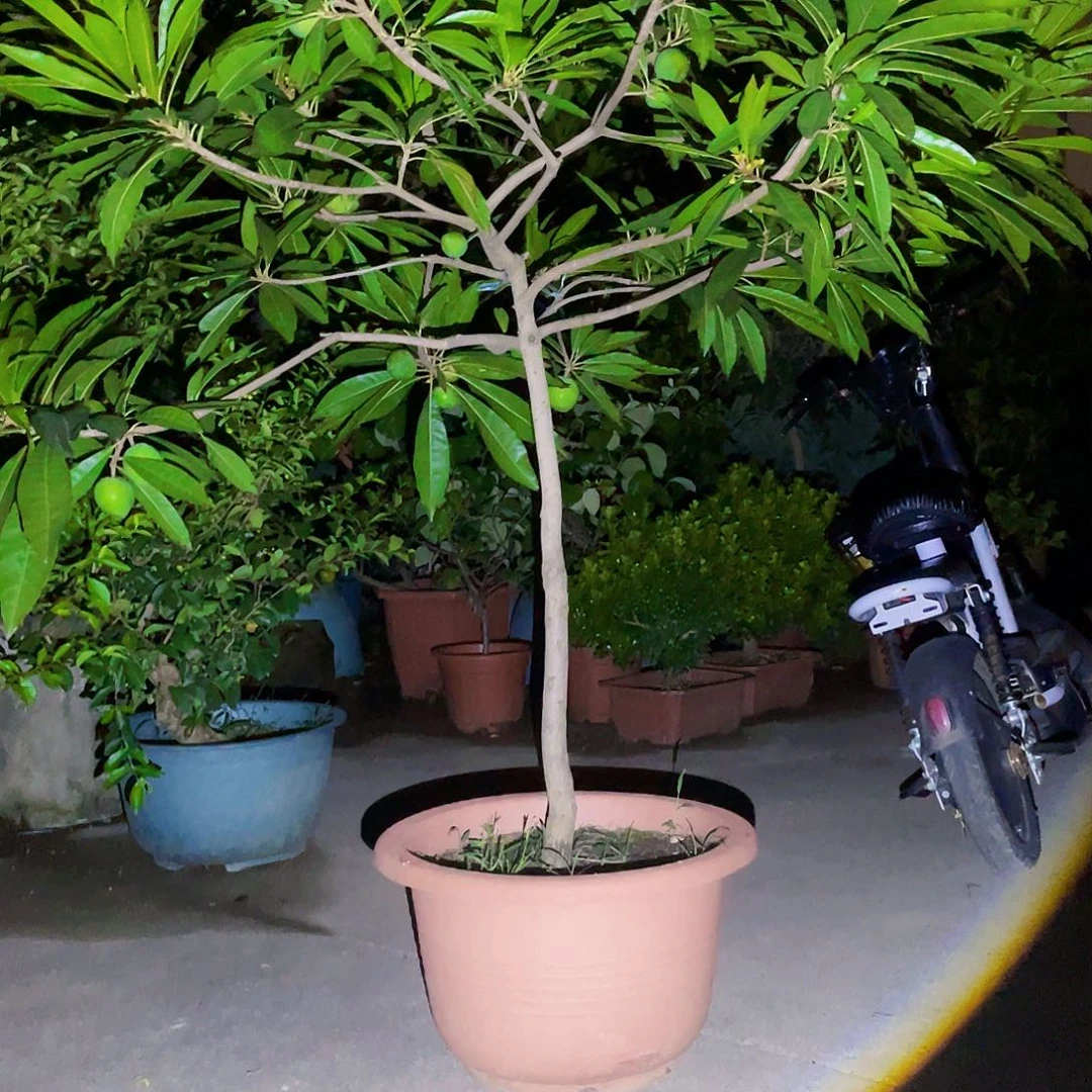 完全开放诚**狼g m 888888888