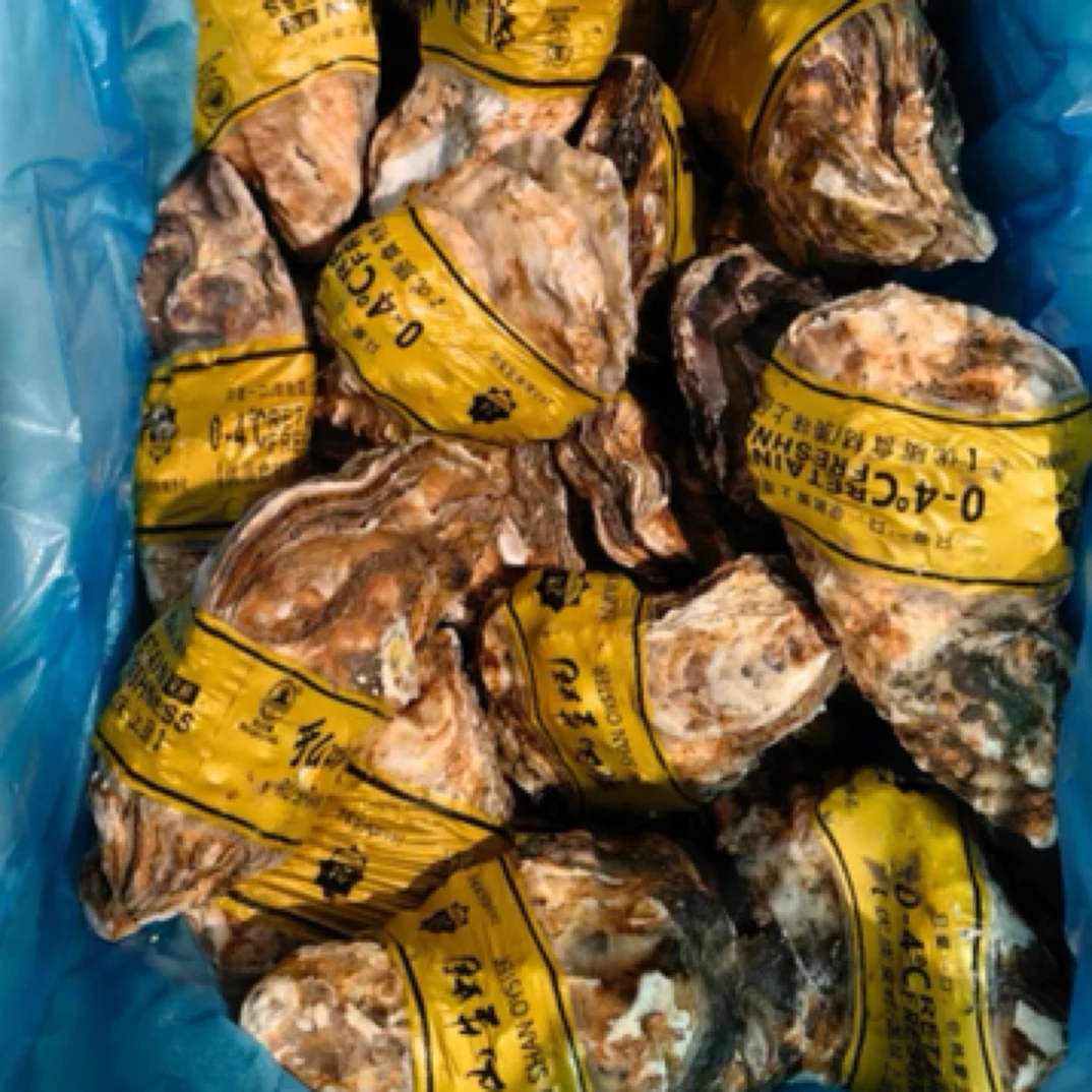 6+生蚝一个 到手1个