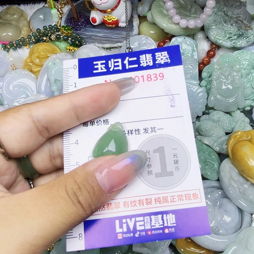 翡翠未镶嵌颈饰111