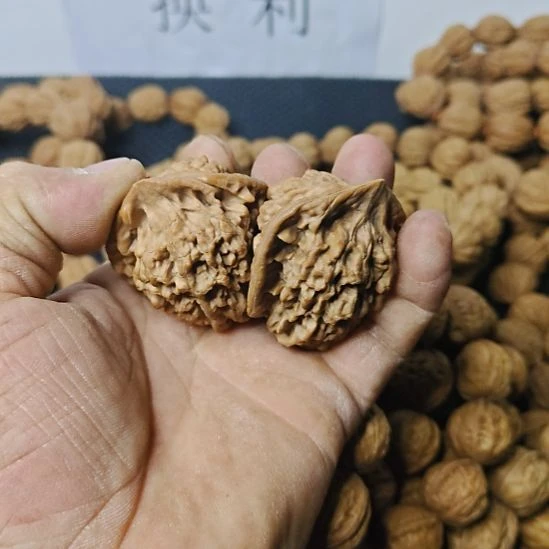 木质类纯野生山核桃