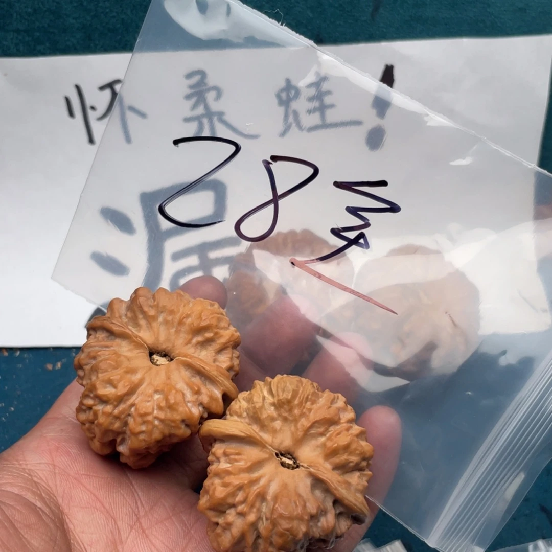 核桃72357357573375753357