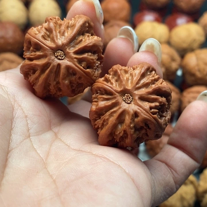 核桃精装修文玩核桃手捻蚁王